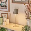 Allen Outdoor table lamp, table lamp LED grey, green, 1-light source