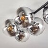 Gastor ceiling light, globe light chrome, clear, Smoke-coloured, 5-light sources