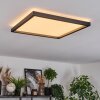 Xarel ceiling light, Panel LED black, 1-light source