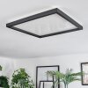 Xarel ceiling light, Panel LED black, 1-light source