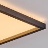 Xarel ceiling light, Panel LED black, 1-light source