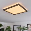 Xarel ceiling light, Panel LED black, 1-light source