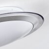 Calen ceiling light, ceiling spotlight LED white, 1-light source