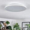 Norea ceiling light, ceiling spotlight LED white, 1-light source