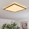 Antra ceiling light, Panel LED gold, 1-light source