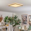 Antra ceiling light, Panel LED gold, 1-light source