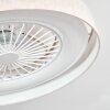 Benasal ceiling light, Ceiling fan light LED white, 1-light source, Remote control