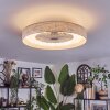 Benasal ceiling light, Ceiling fan light LED white, 1-light source, Remote control