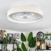 Benasal ceiling light, Ceiling fan light LED white, 1-light source, Remote control