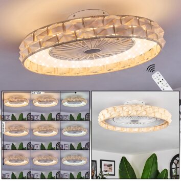 Benasal ceiling light, Ceiling fan light LED white, 1-light source, Remote control