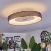 Benasal ceiling light, Ceiling fan light LED white, 1-light source, Remote control