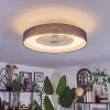 Benasal ceiling light, Ceiling fan light LED white, 1-light source, Remote control