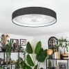 Benasal ceiling light, Ceiling fan light LED white, 1-light source, Remote control