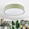 Foggia ceiling light matt nickel, 3-light sources