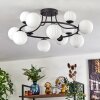 Chehalis ceiling light, globe light 76 cm white, 12-light sources