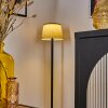 Longchamps floor lamp LED black, 1-light source