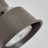 Pehefito wall light, wall spotlight grey, Ecru, 1-light source