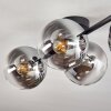 Gastor ceiling light, globe light chrome, clear, Smoke-coloured, 4-light sources