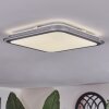 Arima ceiling light LED grey, white, 1-light source