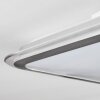 Arima ceiling light LED grey, white, 1-light source