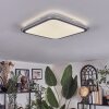 Arima ceiling light LED grey, white, 1-light source