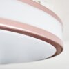 Anora ceiling light LED copper, white, 1-light source