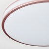 Anora ceiling light LED copper, white, 1-light source