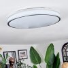 Arima ceiling light LED grey, white, 1-light source