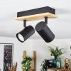 Gesteira ceiling light, ceiling spotlight Ecru, black, 2-light sources