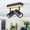 Gesteira ceiling light, ceiling spotlight Ecru, black, 2-light sources