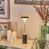 Eryon desk lamp, table lamp LED black, white, 1-light source