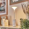 Eryon desk lamp, table lamp LED white, 1-light source