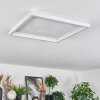 Xarel ceiling light, Panel LED white, 1-light source