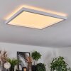 Xarel ceiling light, Panel LED white, 1-light source