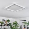 Xarel ceiling light, Panel LED white, 1-light source