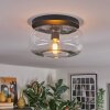 Boza ceiling light, globe light clear, 1-light source