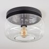 Boza ceiling light, globe light clear, 1-light source