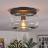 Boza ceiling light, globe light clear, 1-light source