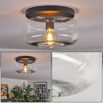 Boza ceiling light, globe light clear, 1-light source