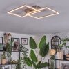 Colombero ceiling light LED matt nickel, 2-light sources, Remote control