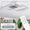 Colombero ceiling light LED matt nickel, 2-light sources, Remote control