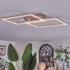 Colombero ceiling light LED matt nickel, 2-light sources, Remote control