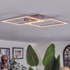 Colombero ceiling light LED matt nickel, 2-light sources, Remote control