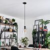 Hasvik hanging light, pendant light chrome, black, 1-light source