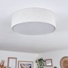 Antillo ceiling light white, 3-light sources