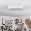 Antillo ceiling light white, 3-light sources