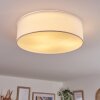 Antillo ceiling light white, 3-light sources