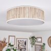 Antillo ceiling light white, 3-light sources