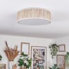 Antillo ceiling light white, 3-light sources