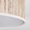 Antillo ceiling light white, 3-light sources